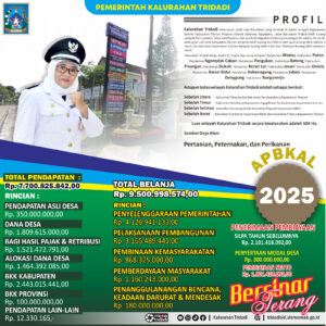 TRANSPARANSI ANGGARAN PENDAPATAN DAN BELANJA KALURAHAN TAHUN 2025